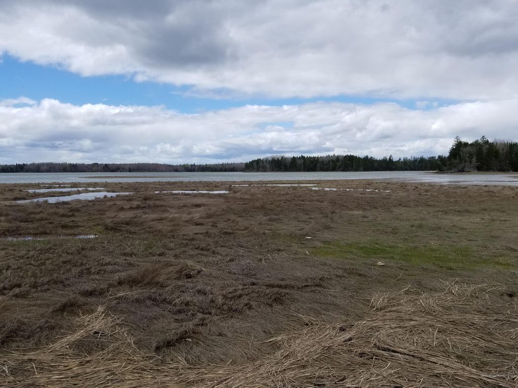 Wilson District Rd, Harrington, ME 04643 Trulia