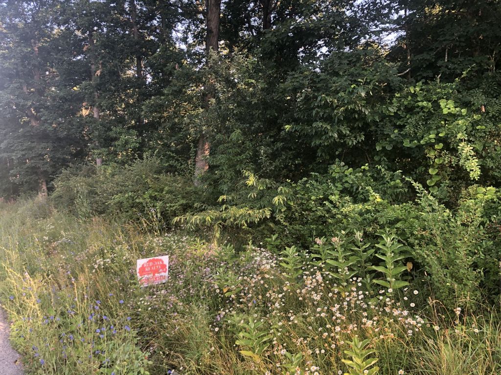 11965 Seneca Trl, Hillsboro, WV 24946 - Lot/Land - MLS# 6146 - 5 Photos