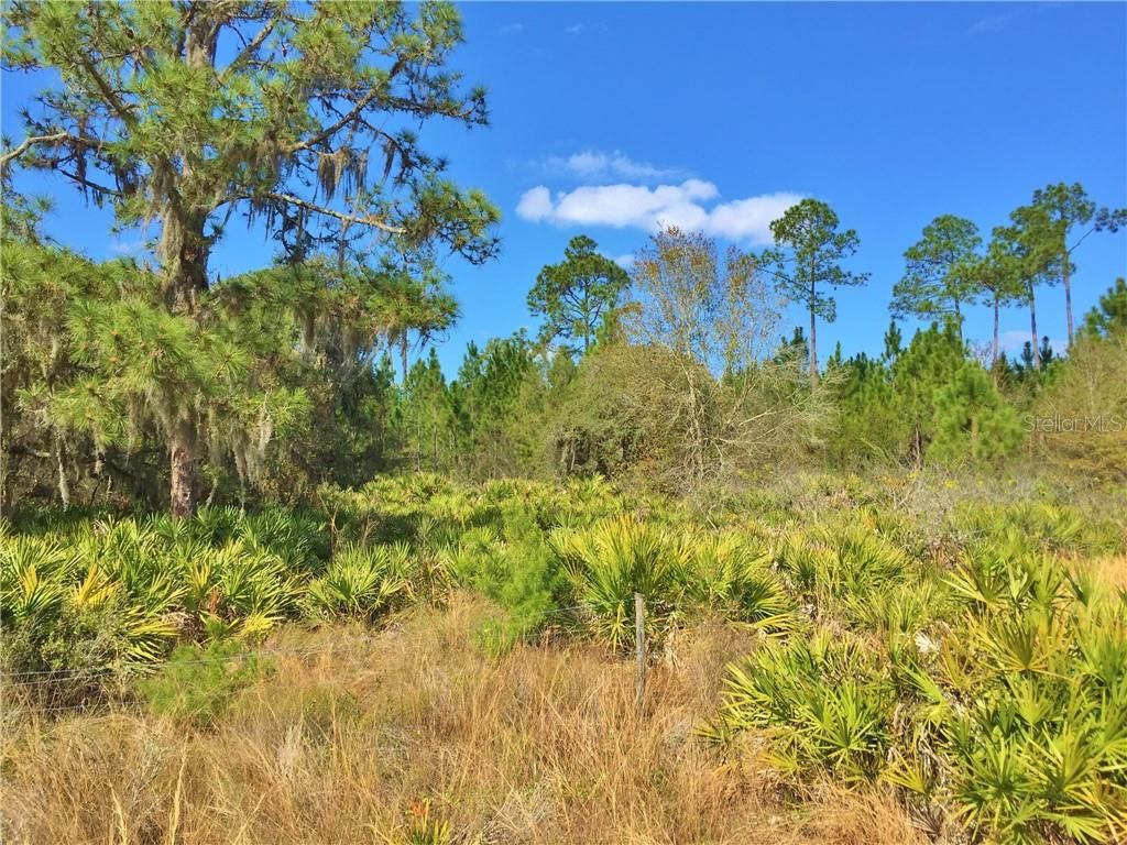 Lake buffum Rd E, Fort meade, FL 33841 Trulia