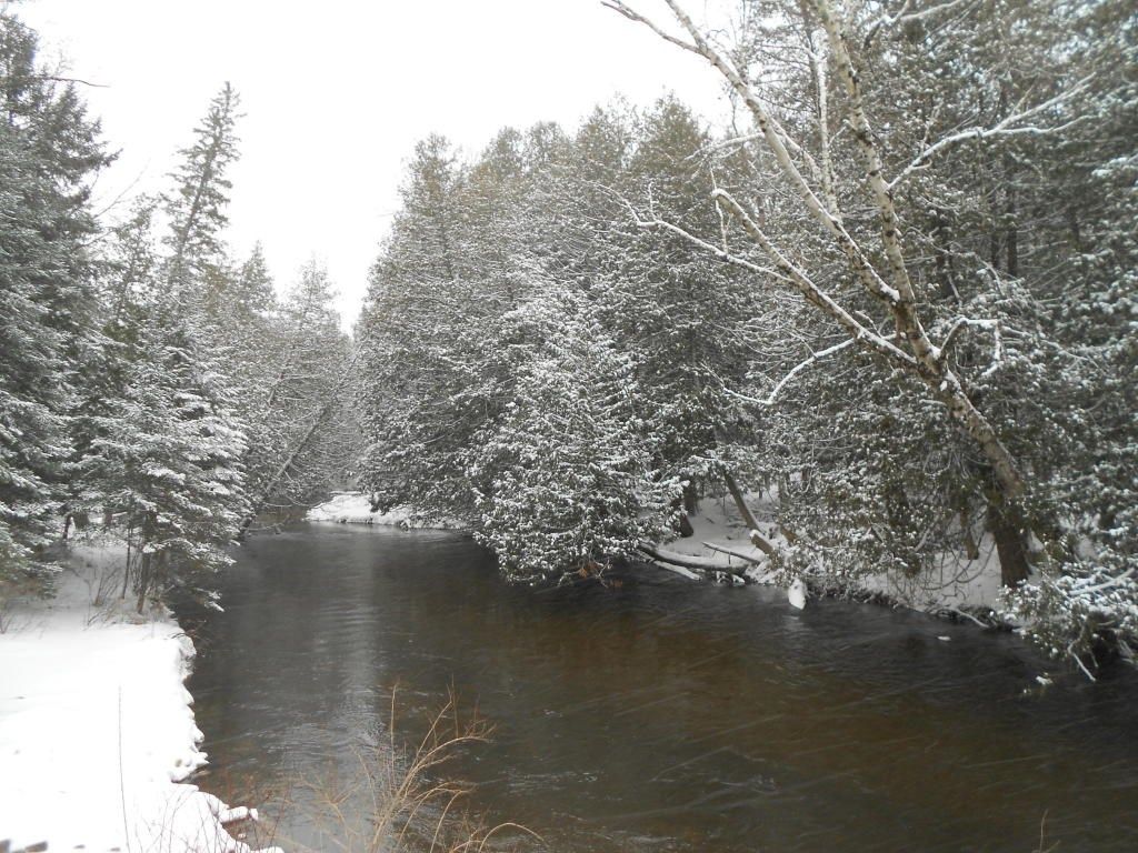 White Rd, Indian River, MI 49749 Trulia