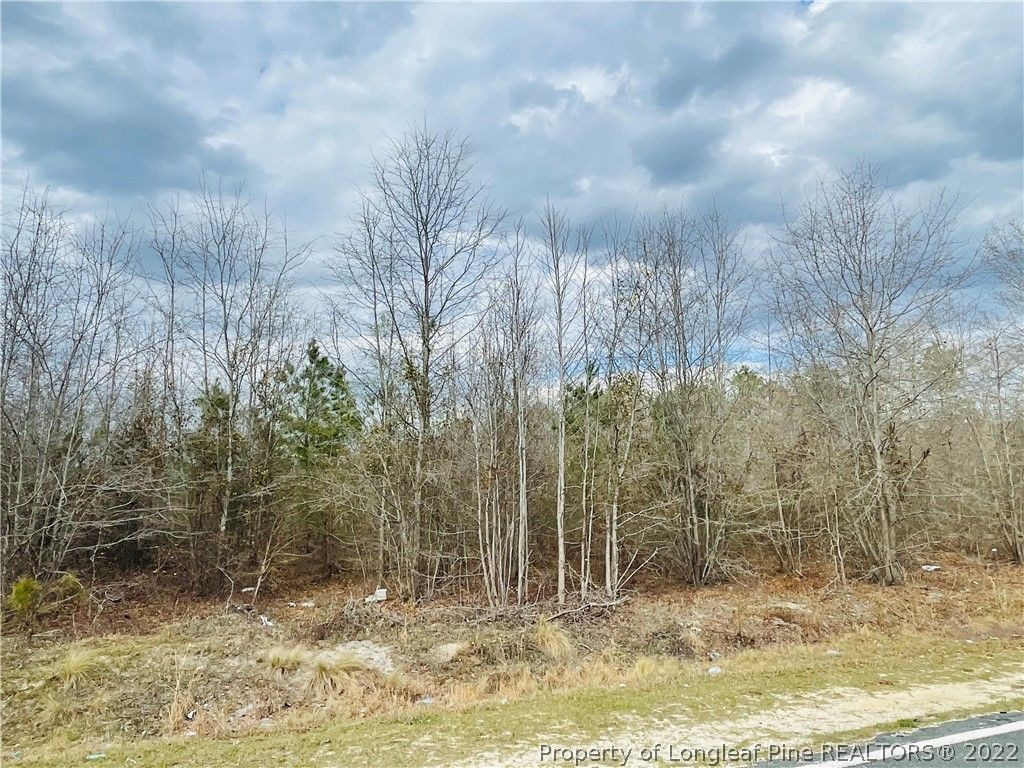 Britt Rd, Saint Pauls, NC 28384 Trulia