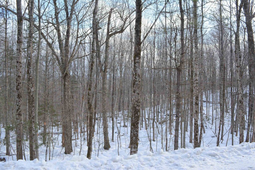 400 Road Round The Lake, Grantham, NH 03753 MLS 4982271 Trulia