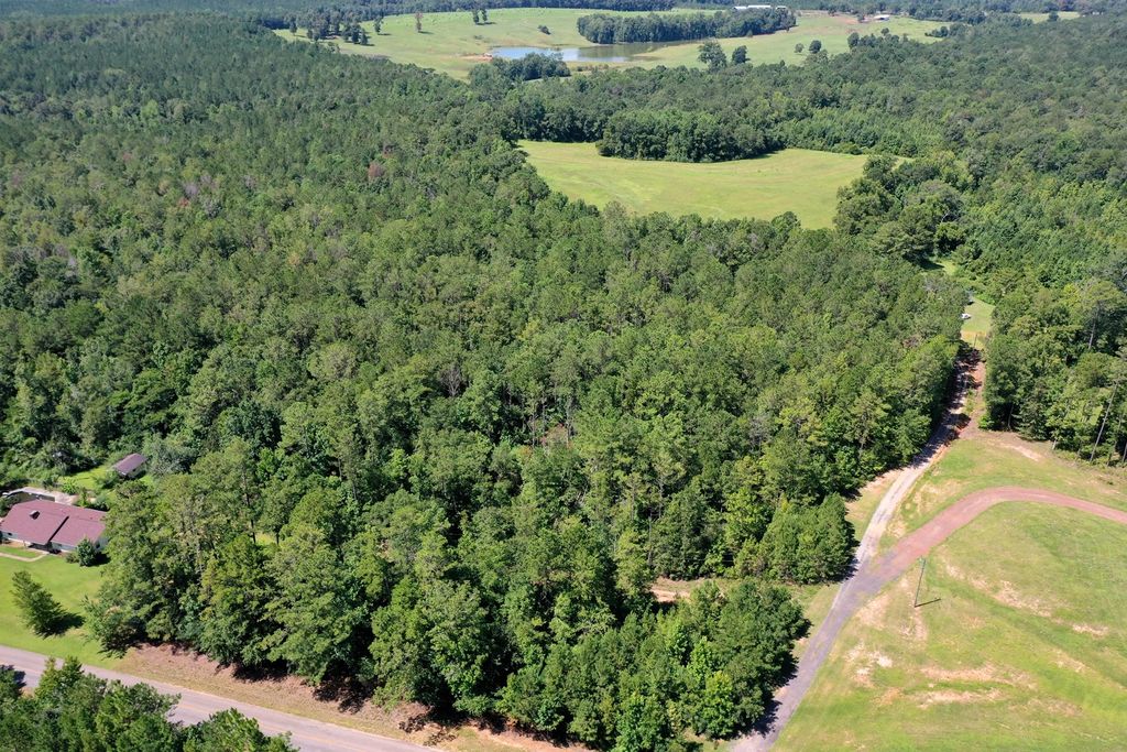 5802 Mount Ida Rd, Luverne, AL 36049 Trulia