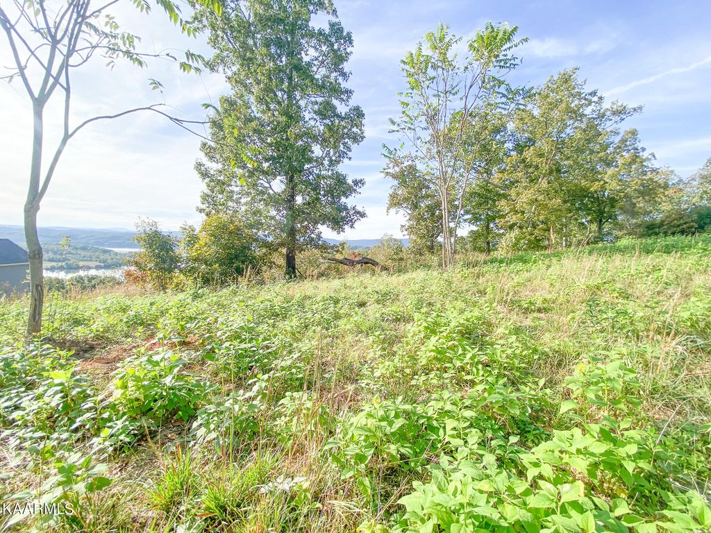 554 Grande Vista Dr, Rockwood, TN 37854 Trulia