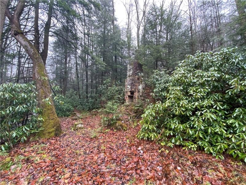 633 Mae West Rd, Confluence, PA 15424 Trulia