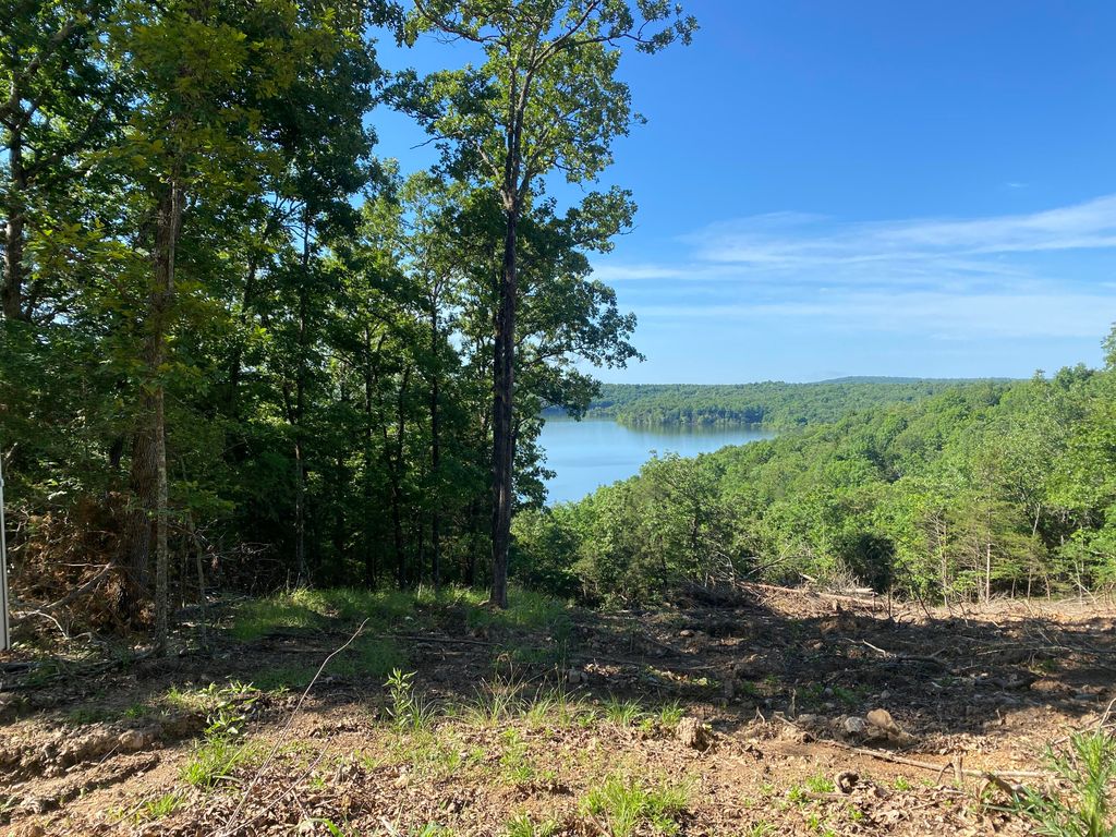 000 Driftwood Drive, Theodosia, MO 65761 MLS 60220234 Trulia