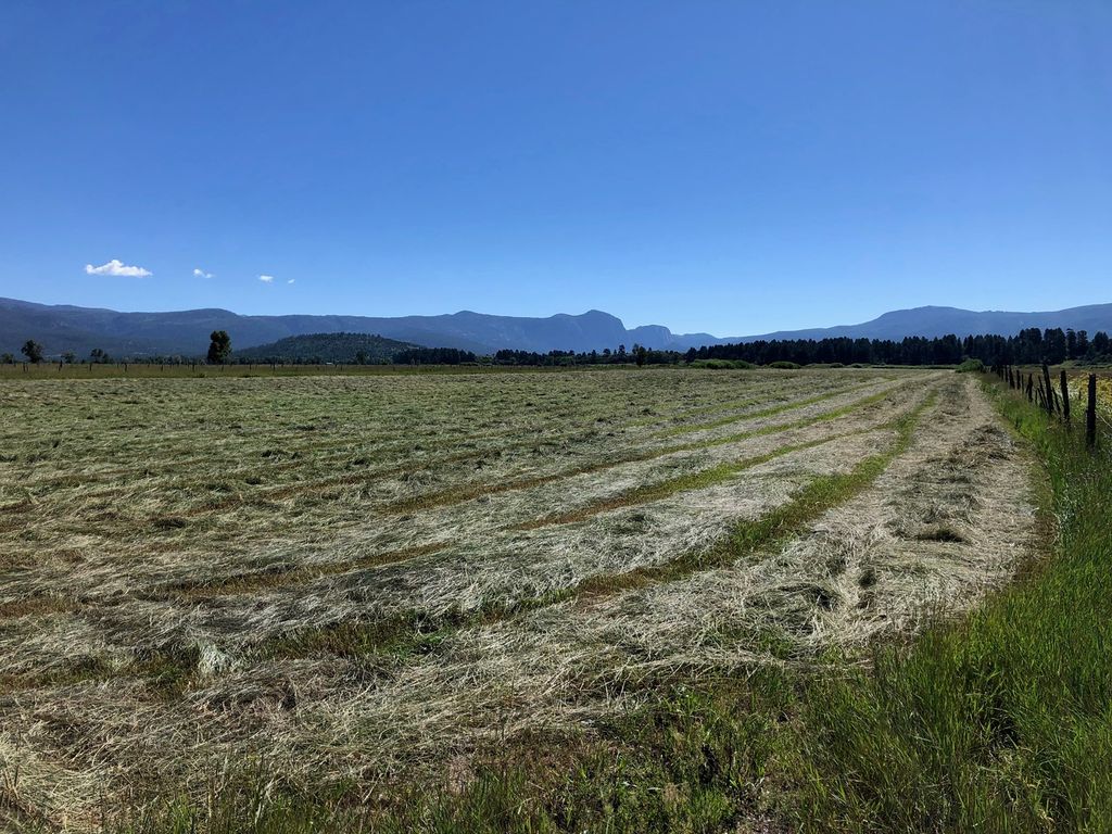 84/64 Parkview Nm, Los Ojos, NM 87551