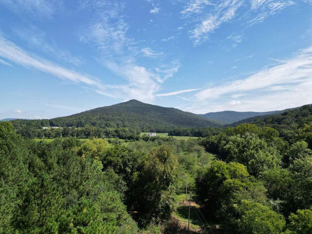 County Road 12, Hollytree, AL 35751 Trulia