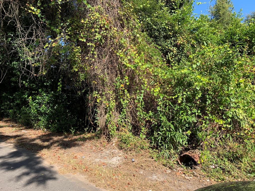 LOT Fleming St, Bainbridge, GA 39819 Trulia