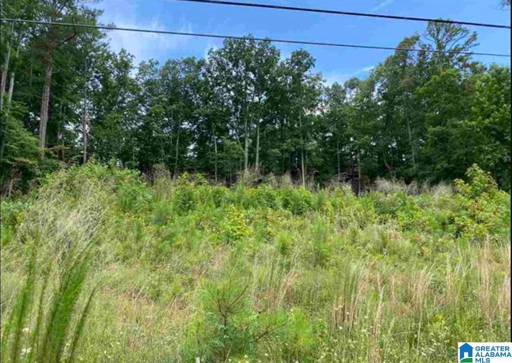 Heritage Rd 1, Oneonta, AL 35121 MLS 1361113 Trulia