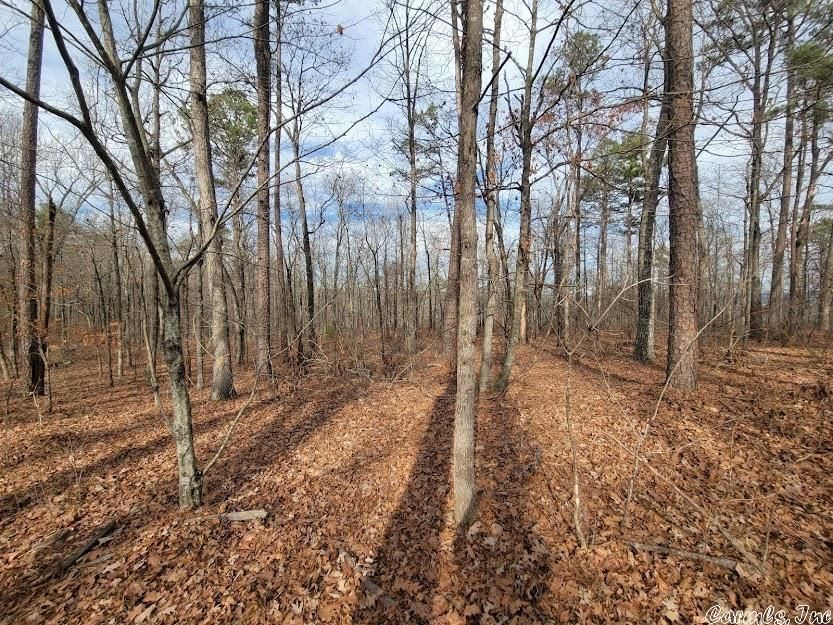 Copeland Rd, Clinton, AR 72031 Trulia