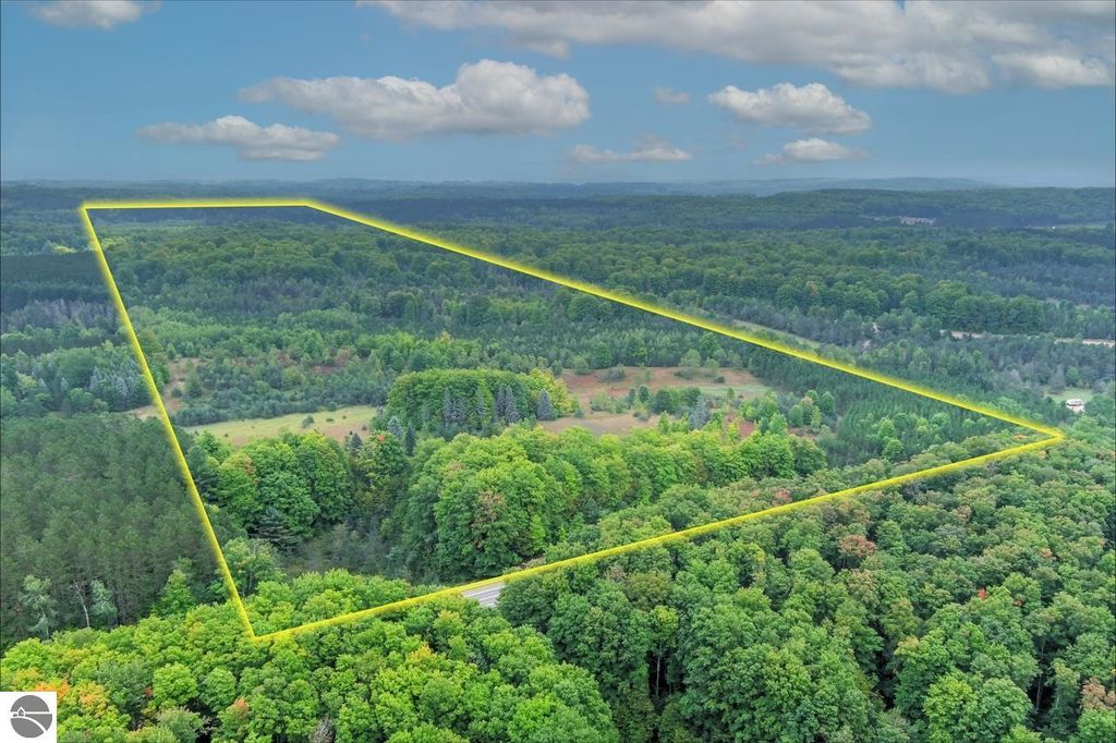 M 66, Fife Lake, MI 49633 Trulia