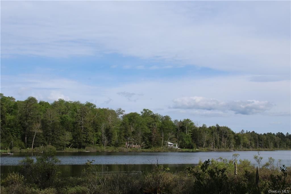 Burnt Hill Road, Roscoe, NY 12776 Trulia