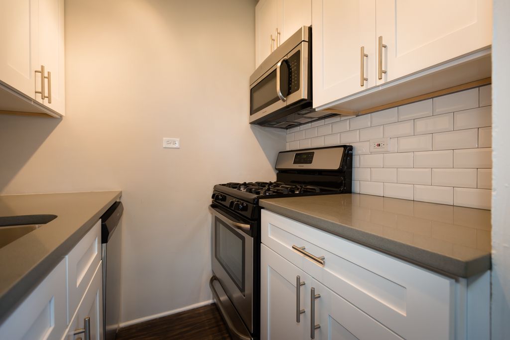 5110 S  Kenwood Ave #5110-407, Chicago, IL 60615