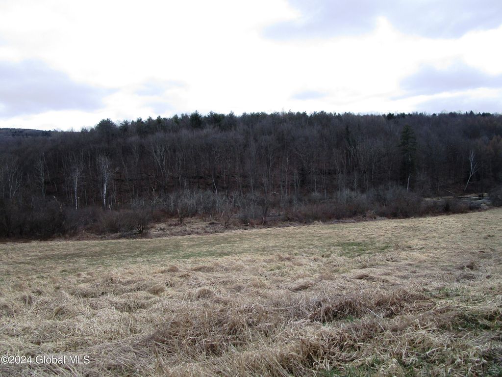 L40 Brown Road, Warnerville, NY 12187 MLS 202414293 Trulia