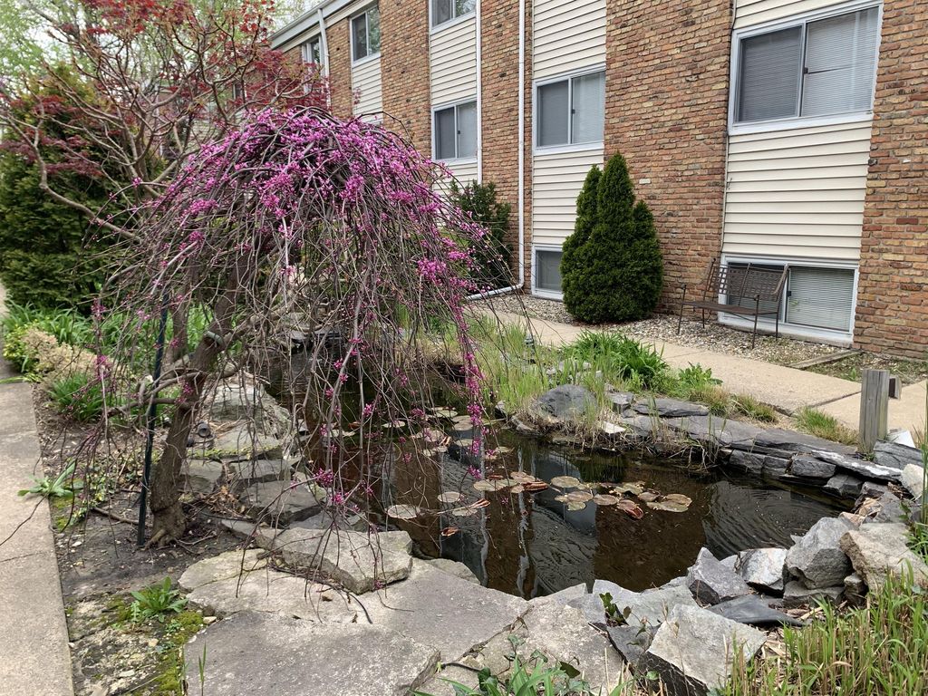 1009 Francis Dr #11, Champaign, IL 61821