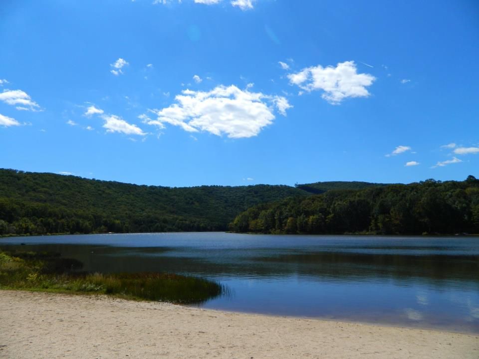 4176 Lake Ferndale Dr, Springfield, WV 26763 Trulia