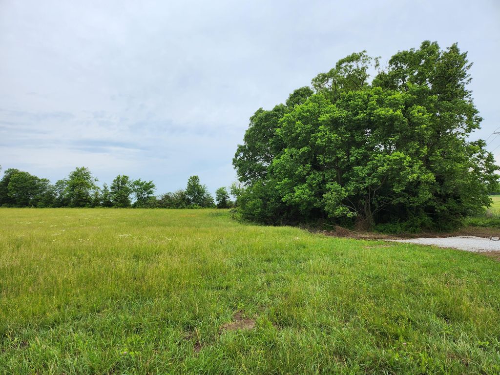 Tract 2a Blue Bell Road, Billings, MO 65610