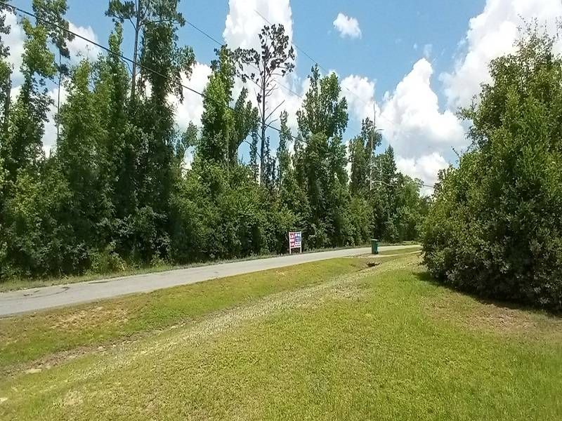 4980 Dr, Marianna, FL 32446 Trulia