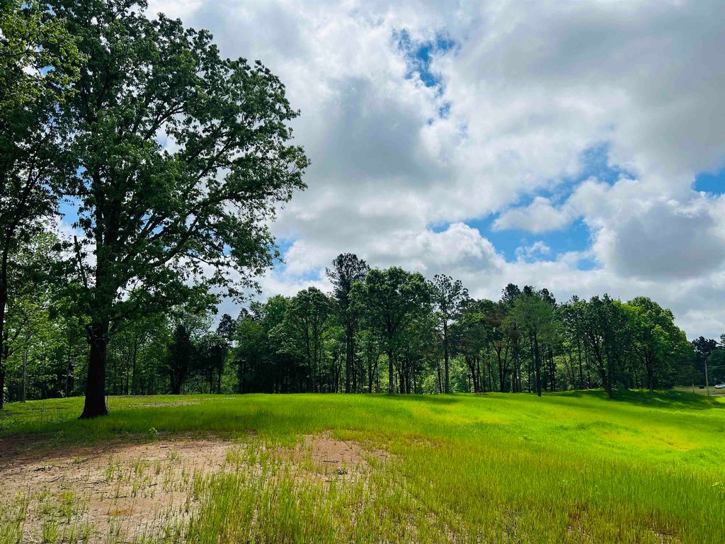 Vildo Rd, Bolivar, TN 38008 MLS 10171440 Trulia