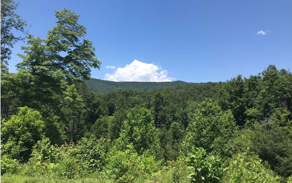 5514 Fires Creek Rd, Hayesville, NC 28904 Trulia