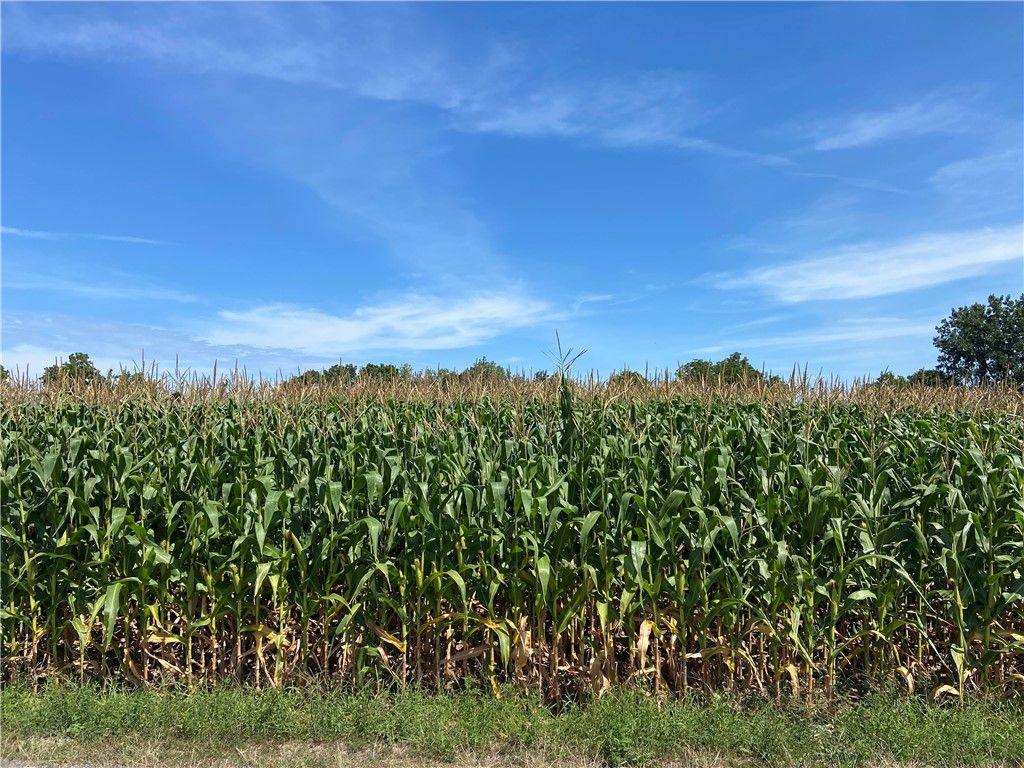 Oak Orchard Rd 41, Albion, NY 14411 Trulia