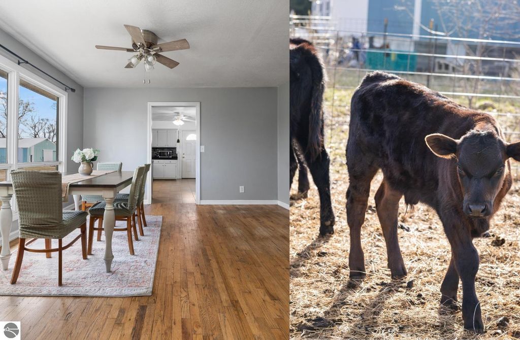 4809 Grace Rd, Benzonia, MI 49616 Trulia