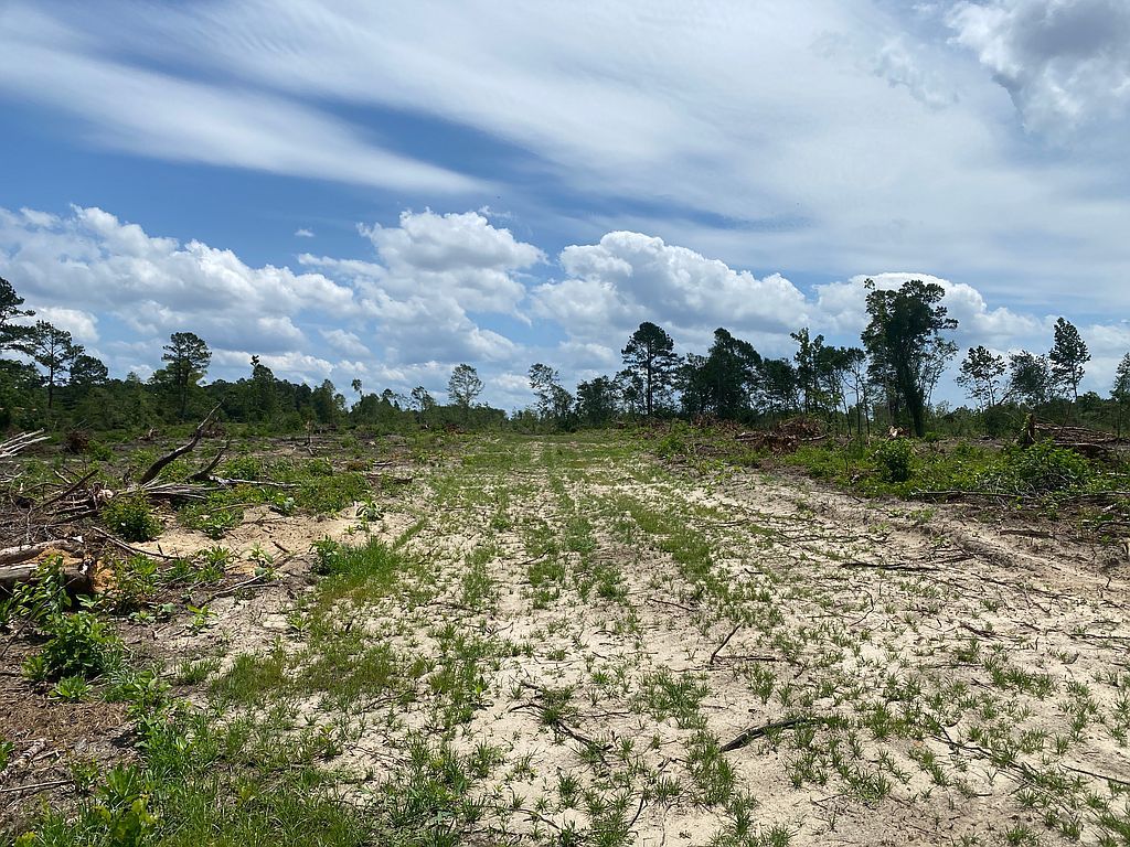 Jd Williams Rd, Cadwell, GA 31009 Trulia