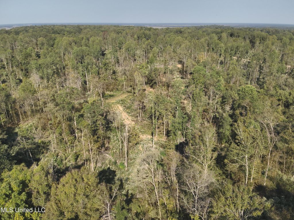 Perry St, Satartia, MS 39162
