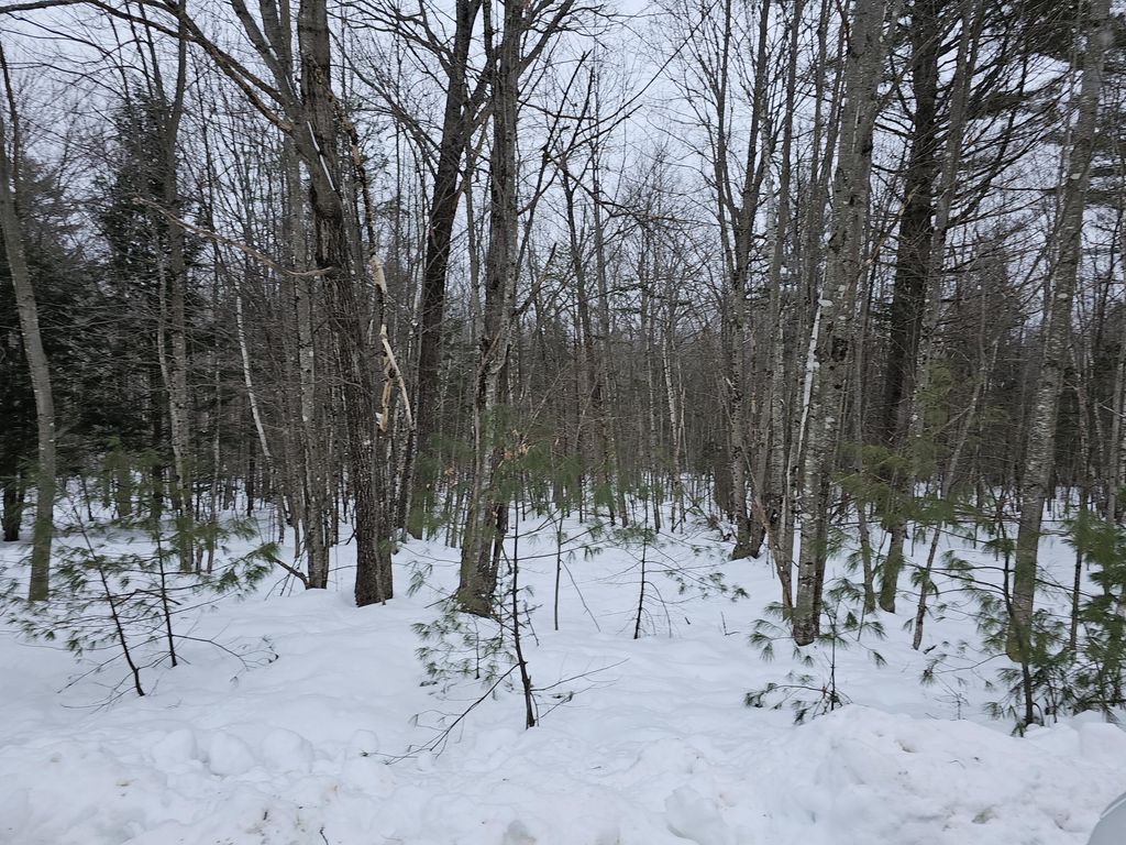 TBD Lot 22 Saunders Road, Norway, ME 04268 Trulia