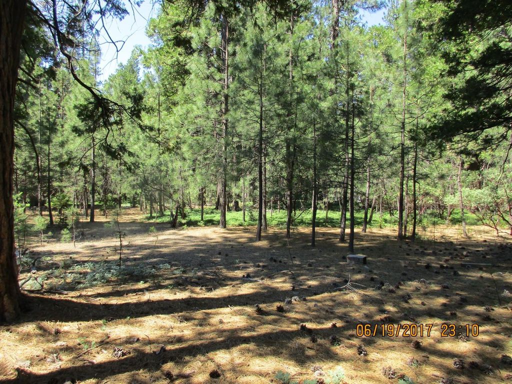 27405 State Highway 88, Pioneer, CA 95666 Trulia