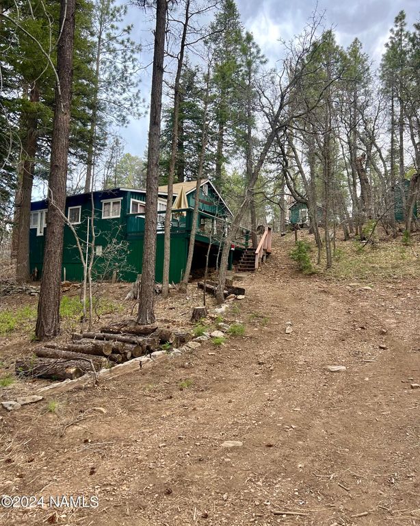 345 Double Springs Campground Rd, Mormon Lake, AZ 86038 MLS 196616