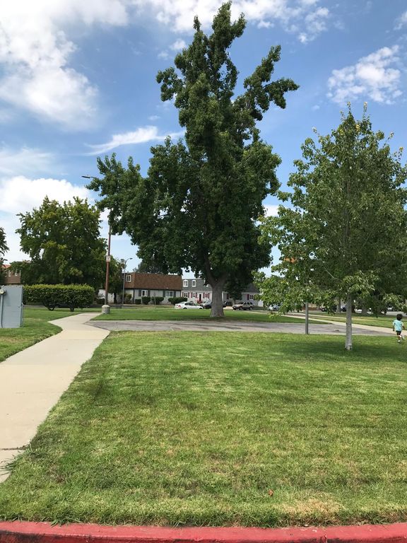 ross park meadows