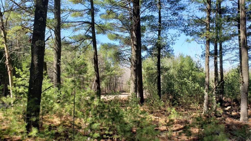 11 Swamp Lake Rd, Tomahawk, WI 54487 MLS 11274183 Trulia