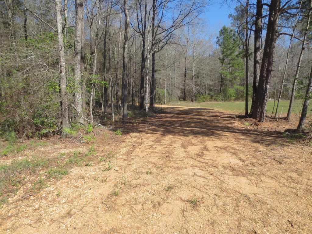 2697 River Rd, Silver Creek, MS 39663 Trulia