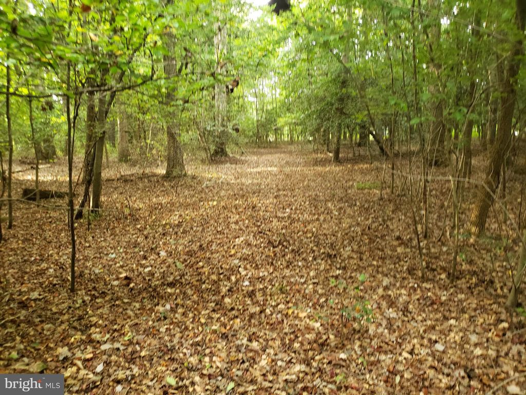 756 Beebe Rd, Harrington, DE 19952 Trulia