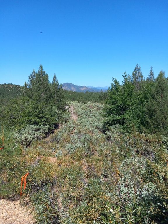 Backbone Rd, Bella Vista, CA 96008 MLS 231713 Trulia