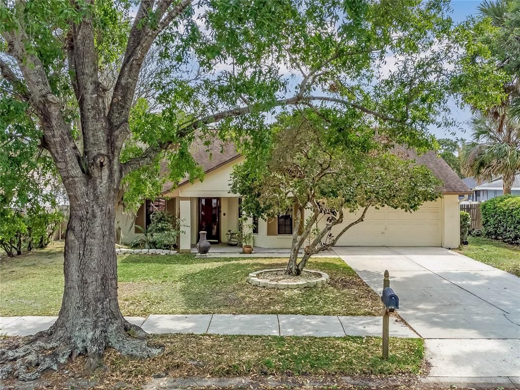 1016 Albamonte Ct, Oviedo, FL 32765 Trulia