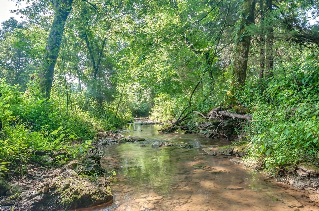 Keg Springs Rd, Hampshire, TN 38461 Trulia