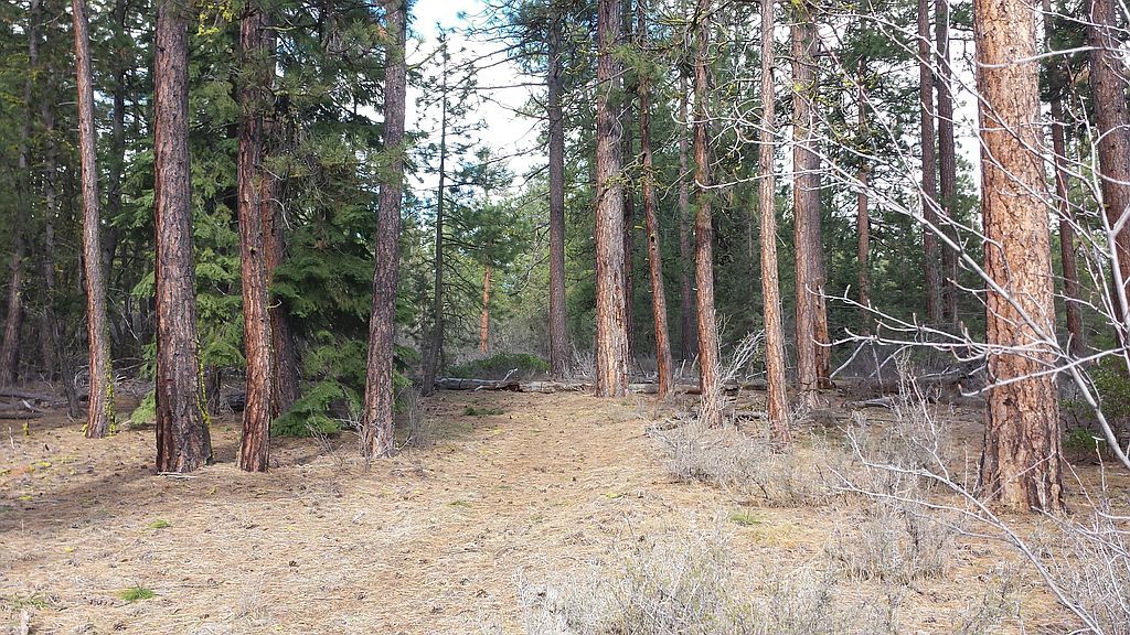 11521 Hummingbird Dr, Bonanza, OR 97623 Trulia