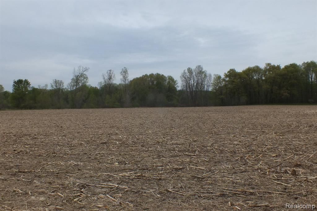 1B Oak Grove Rd, Howell, MI 48855 Trulia