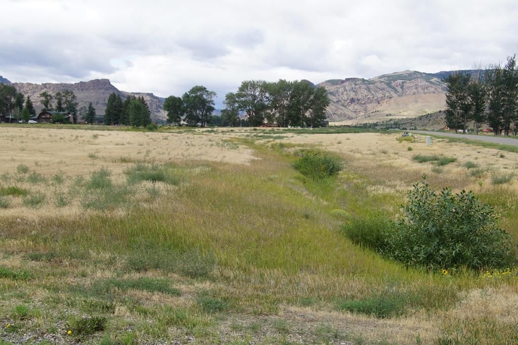 74 Copperleaf Dr, Cody, WY 82414 Trulia