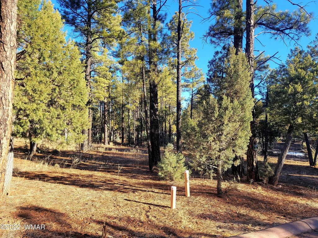 3920 S Elk Trot Loop, Show Low, AZ 85901 Trulia