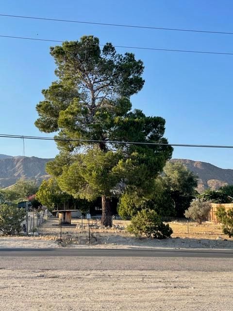 49560 Park Ave, Morongo Valley, CA 92256