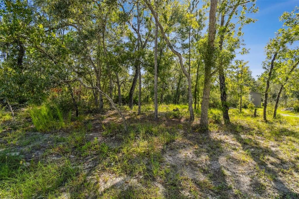 Maybird Ave #1, Brooksville, FL 34613