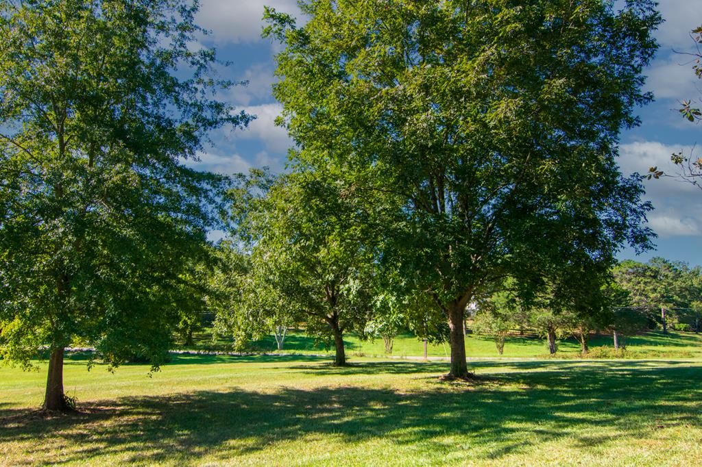 Mountain View Rd, Hamilton, GA 31811 Trulia