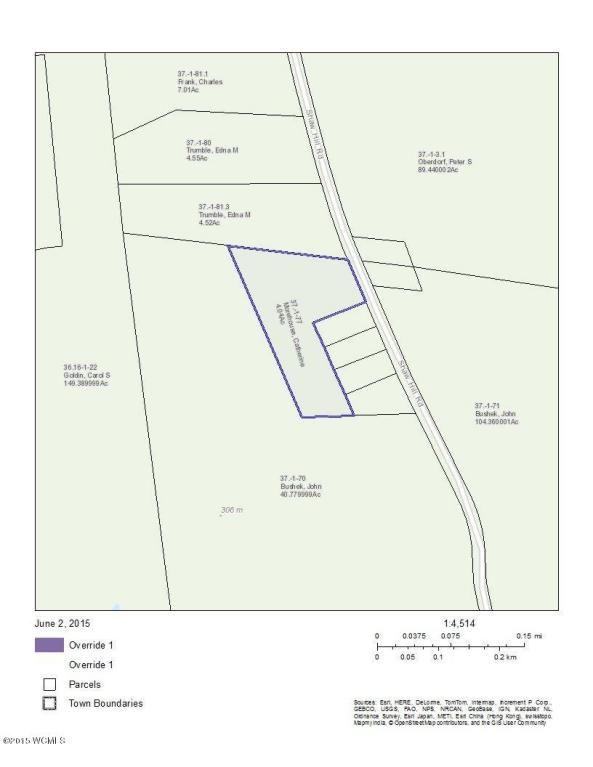 331 Shaw Hill Rd, Adirondack, NY 12808 Trulia