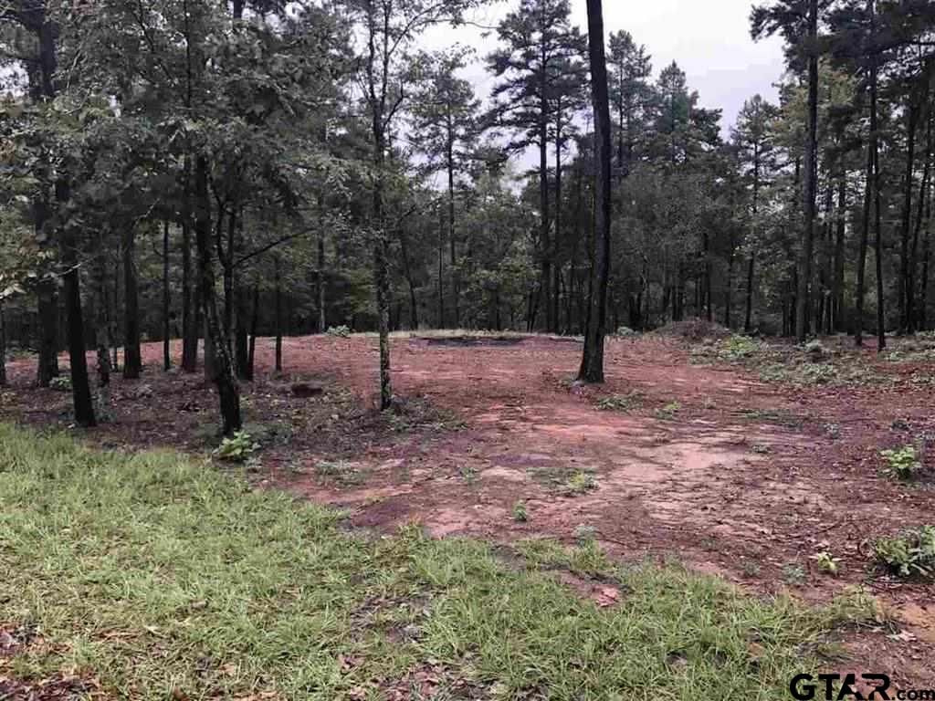 Lot 4 Lake Gladewater Rd, Gladewater, TX 75647 MLS 10112109 Trulia