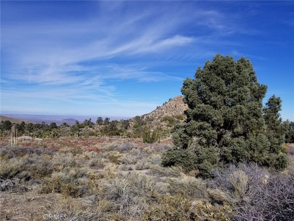Vac Vic Avenue Z14 235 #15, Llano, CA 93544