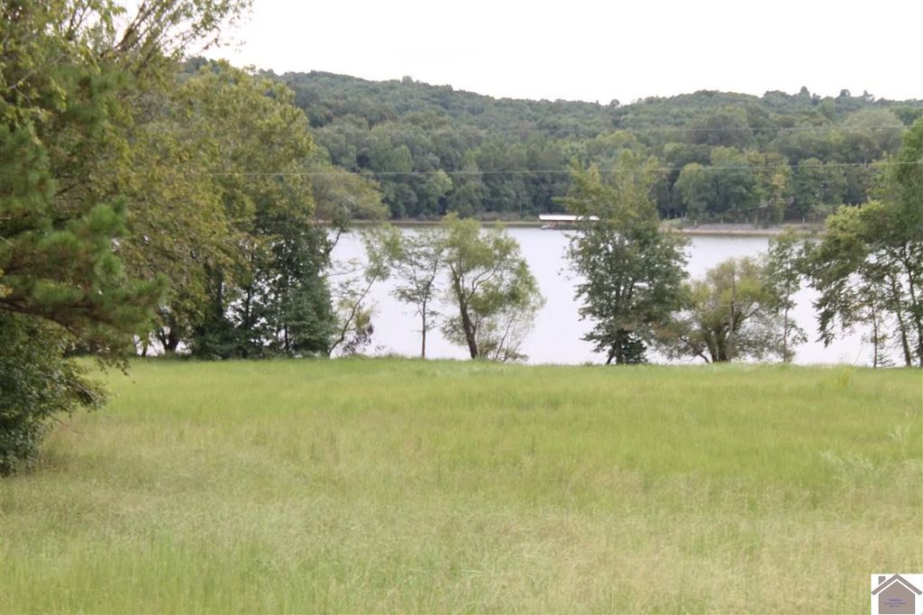 Donaldson Shores Dr, Cadiz, KY 42211 Trulia